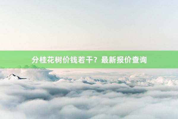 分桂花树价钱若干?最新报价查询
